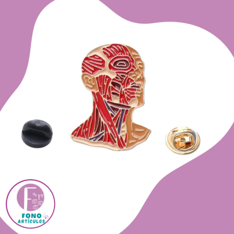 Pin Músculos Faciales